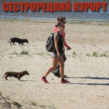 Барселона/Старый город Путеводитель Викигид Wikivoyage Ханья (Крит, Греция) - где находится, особенности отдыха