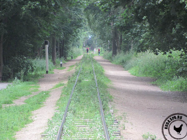 Детская железная дорога в Петербурге