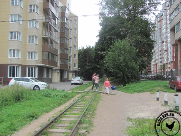 Детская железная дорога в Петербурге