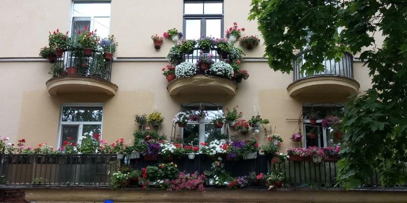 Балконы с цветущими цветами